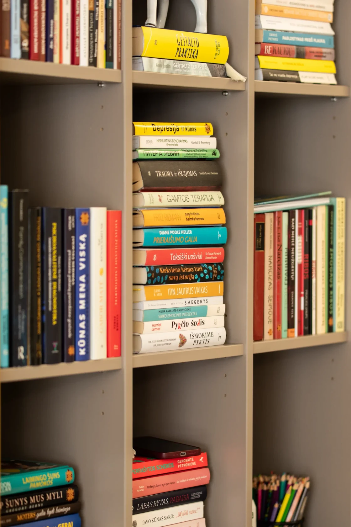Psichoterapijos literatūra kabinete